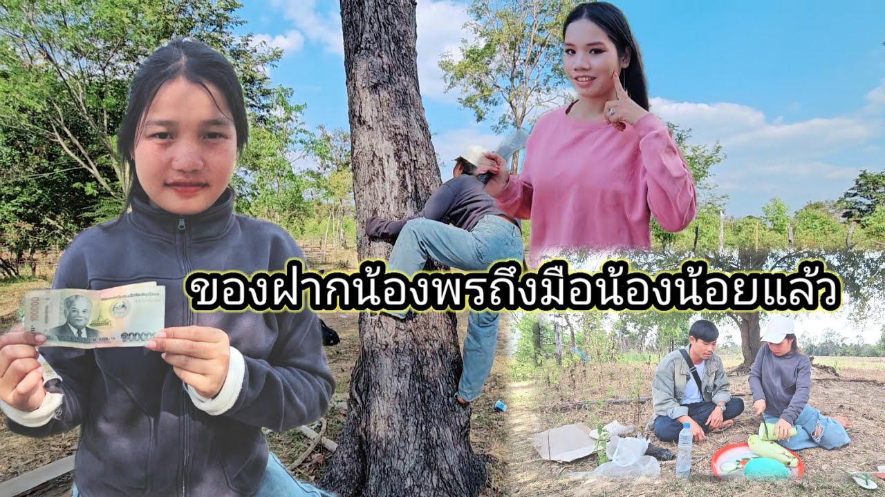 แจ้งข่าวดีน้องน้อยหนึ่งล้านกีบแต่ทะเลาะกันเรื่องเงินบ่าวยาว 19 มกราคม ค.ศ. 2026