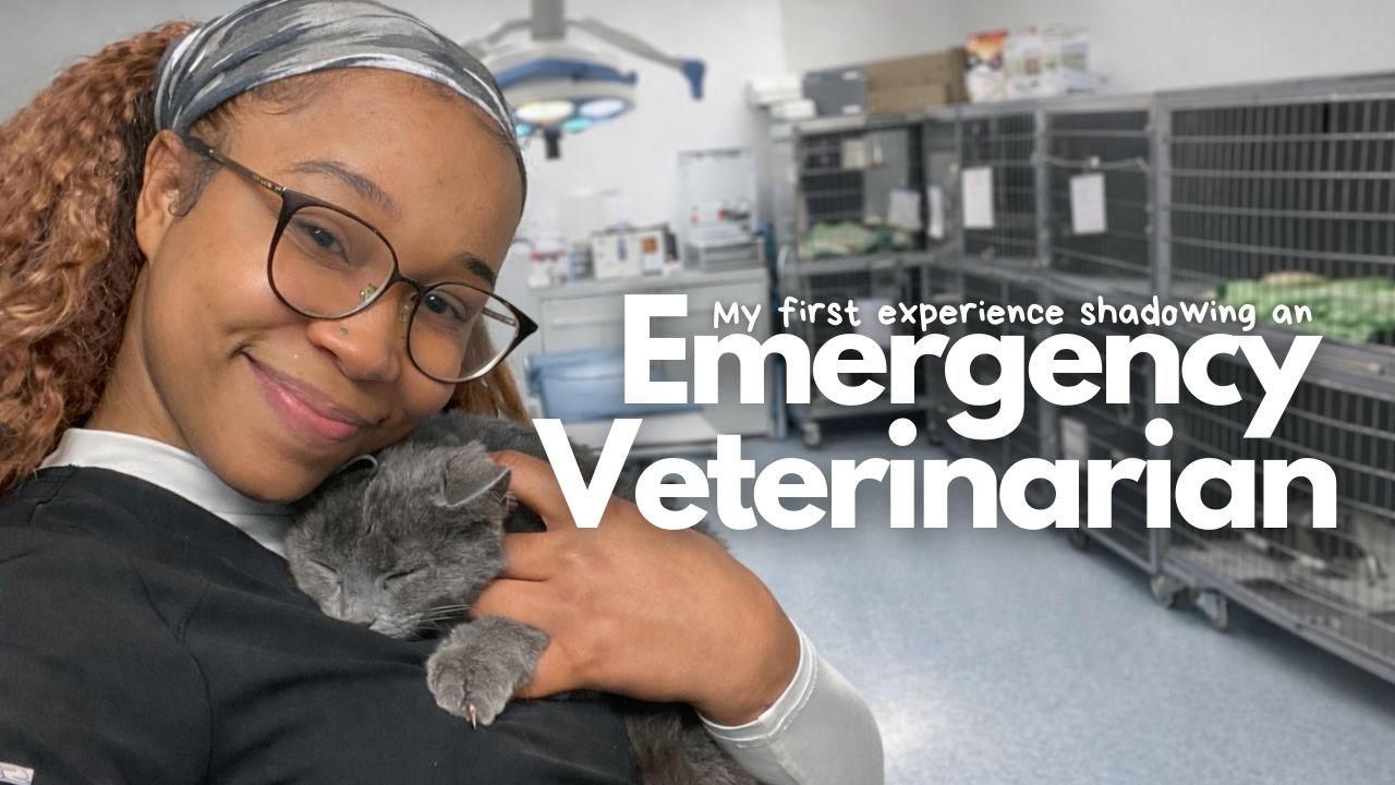 Shadowing an Emergency Veterinarian: What It’s Really Like | Future DVM Diaries Ep. 2