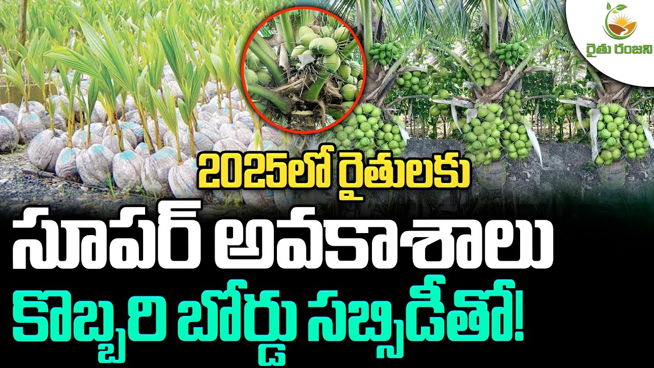 2025లో రైతులకు సూపర్ అవకాశాలు కొబ్బరి బోర్డు సబ్సిడీతో! | Coconut Board Subsidy | Raitu Ranjani