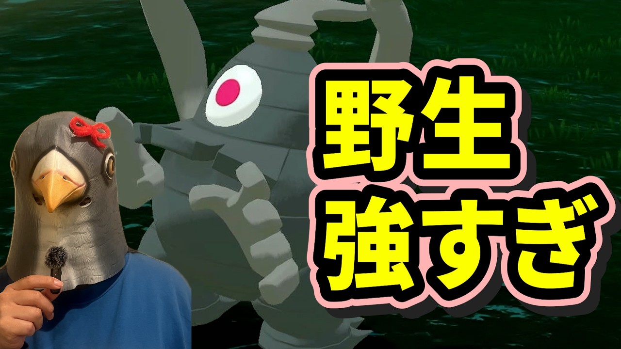 【初見の末路】この島、野生強すぎない？【初見レジェンズアルセウス7話】＃ポケモン実況【カップル実況】