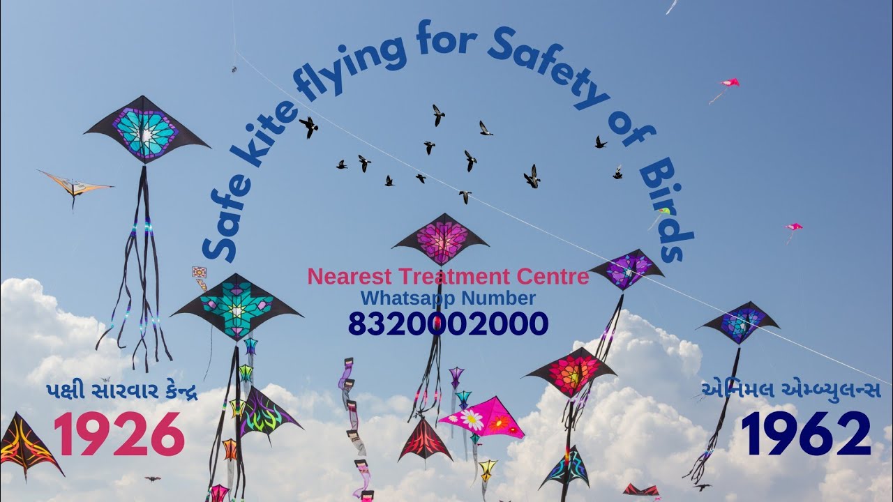 Safe kite flying, Happy kite flying 