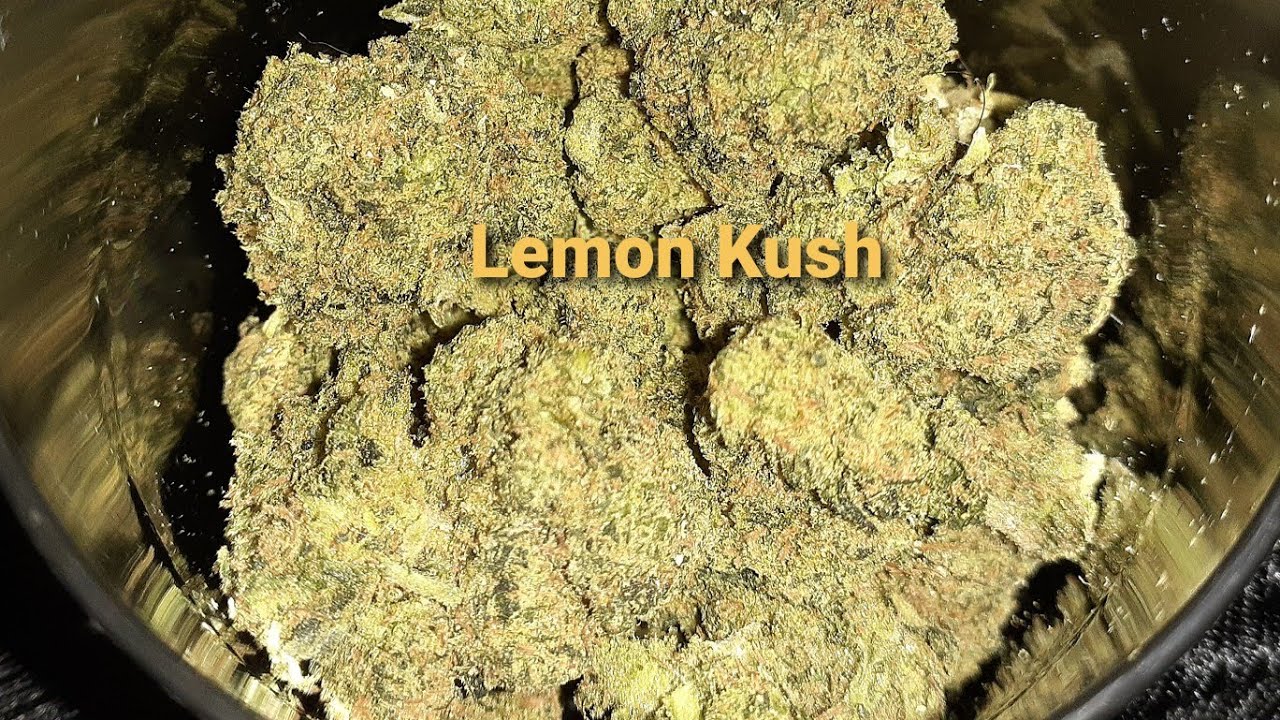 Lemon Kush💨💨