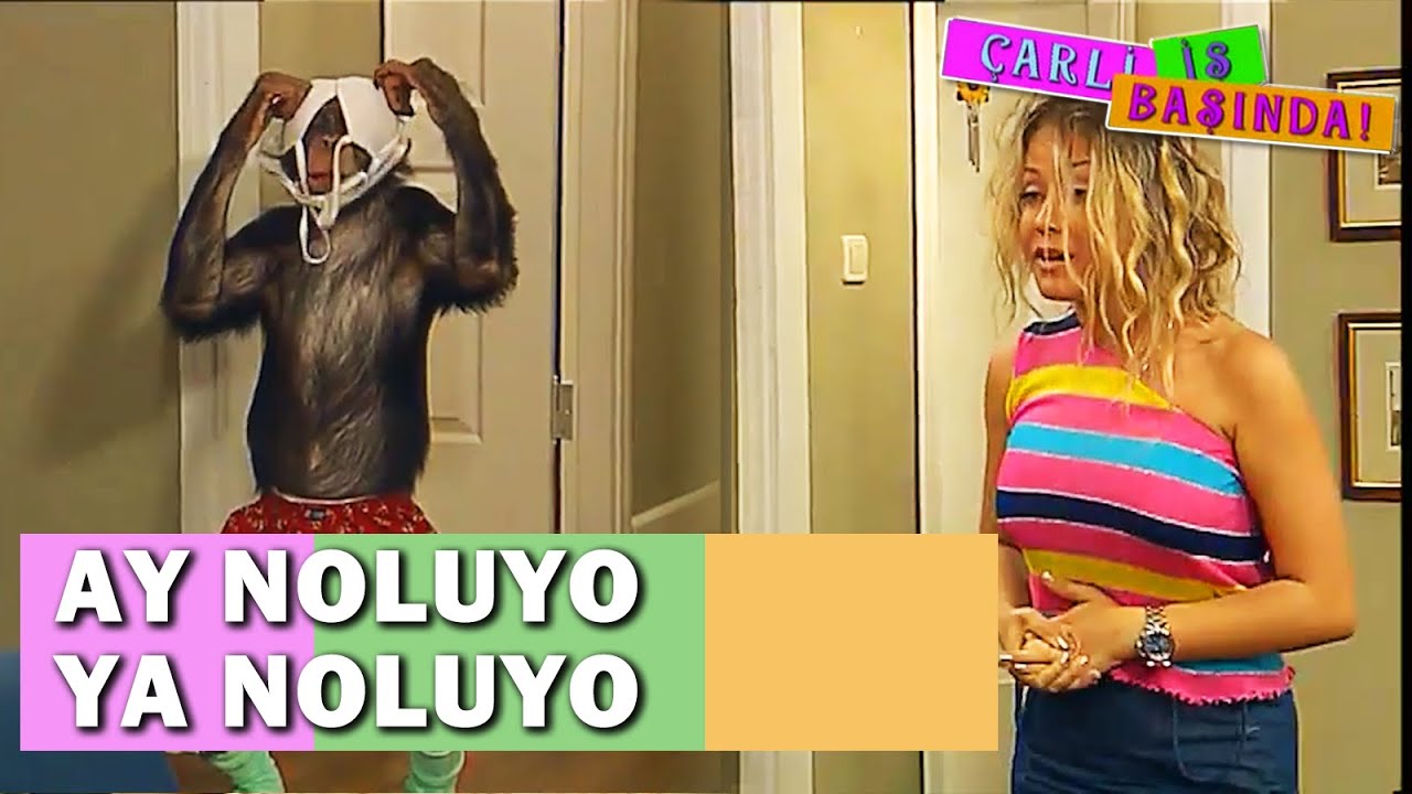 Çarli, Cilvenaz'ı Banyoda Sıkıştırdı! - Çarli İş Başında 8. Bölüm