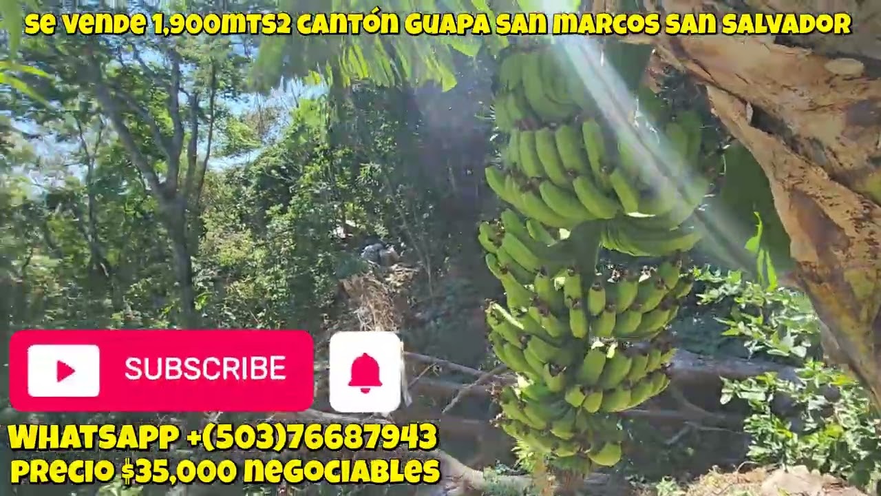 Se vende 1,900mts2 en cantón Guapa san marcos san salvador 