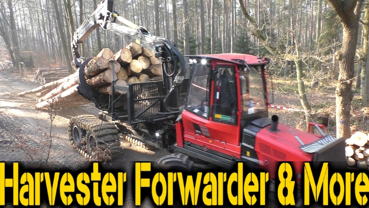 Komatsu 865 & Clambunk  | Treelength Logging