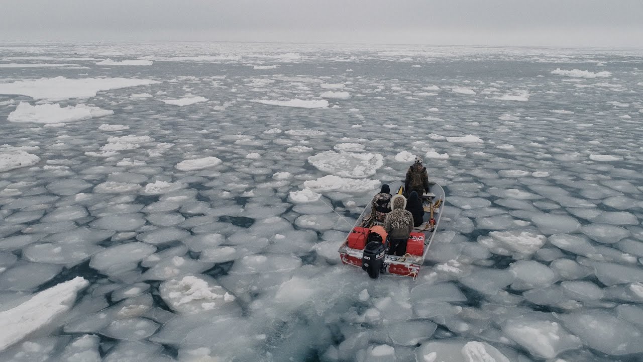 One With the Whale | Official Trailer | Independent Lens | PBS