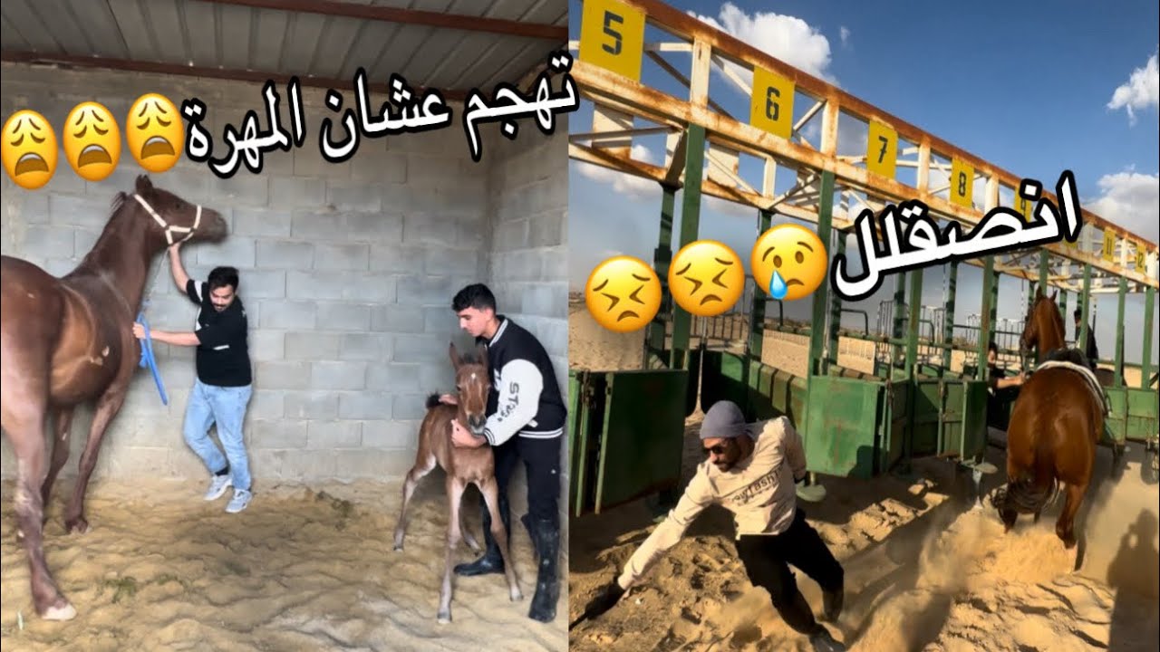 فلوق🌟| أول تدريب لمياسه على بوابة السباق | طيحات وضحك ومعلومات تفيدك!