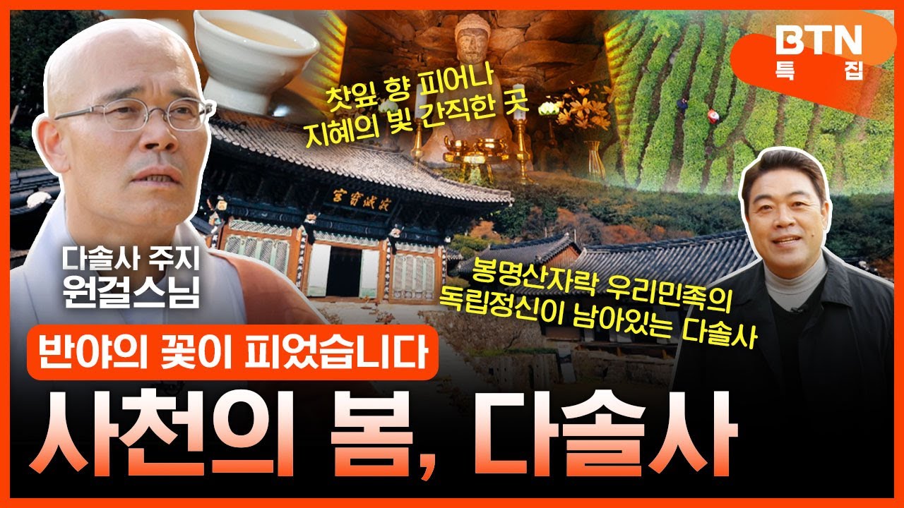 [특집] 사천의 봄, 다솔사