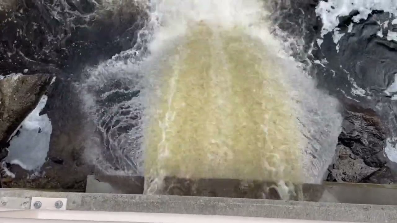 Lows Lake Lower Dam Access Now Open!