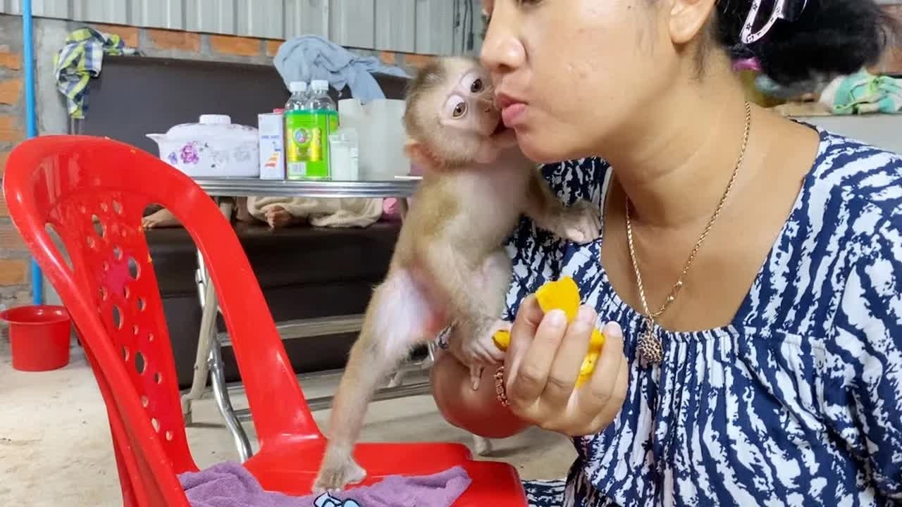 Most Sweetheart DAM Stand Up To Kiss A Warm Affection To Mom While Feed Him