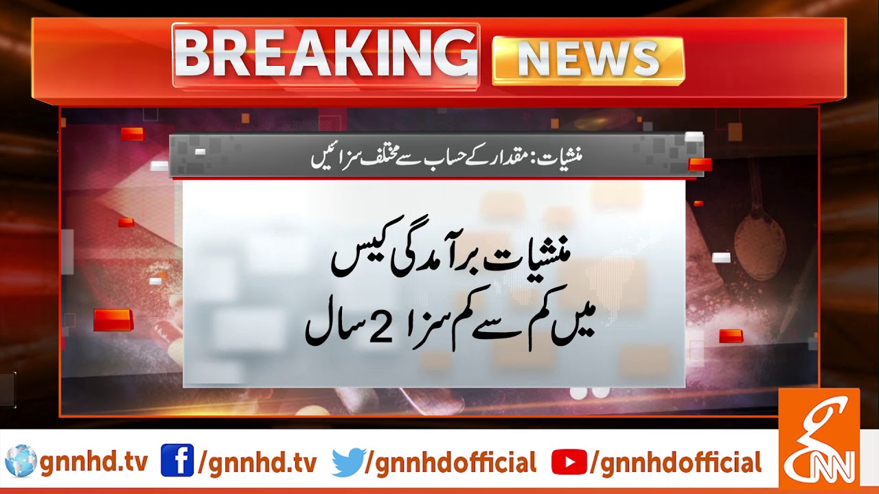 Minimum 2-Year Sentence according to Anti Narcotics Act | GNN | 01 July 2019