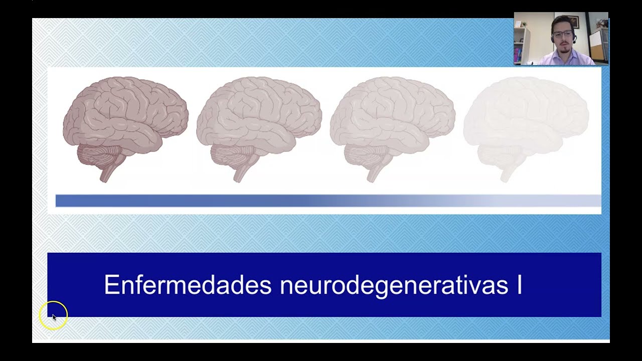Introducción a las enfermedades neurodegenerativas