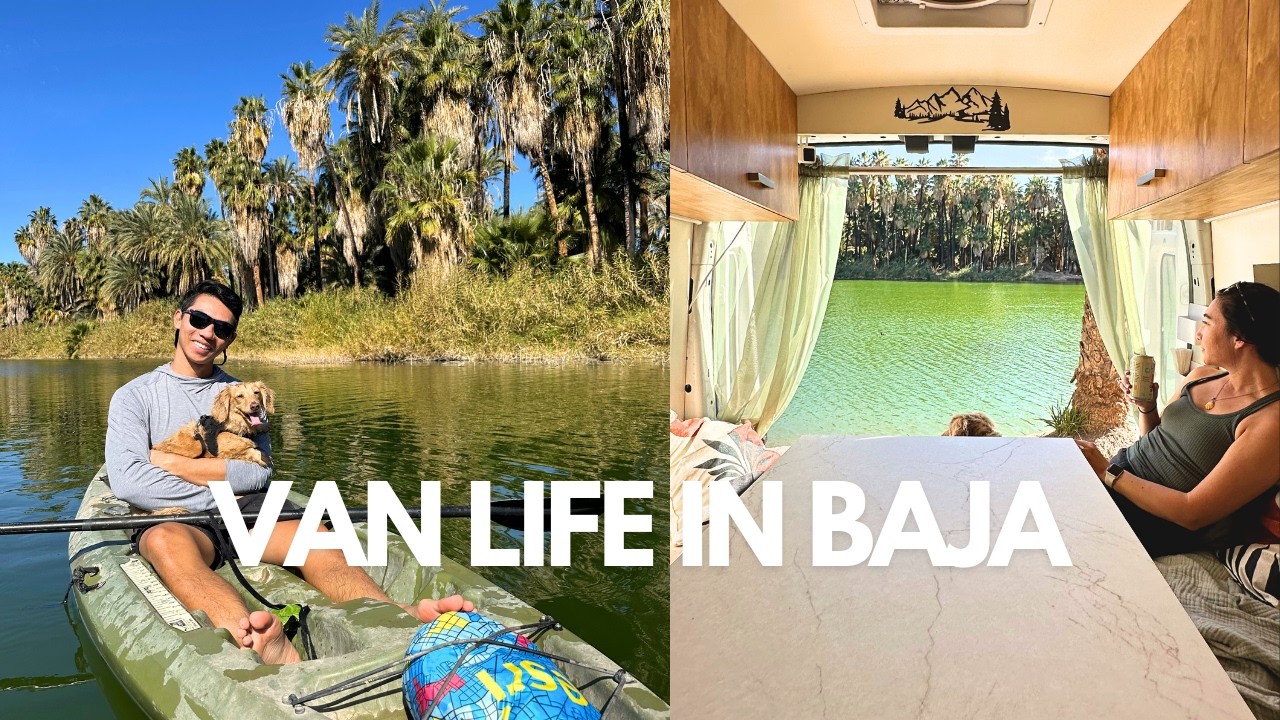 Week 1 of Van Life in Baja, Mexico | Road Trip Vlog | San Felipe, Guerrero Negro, and San Ignacio