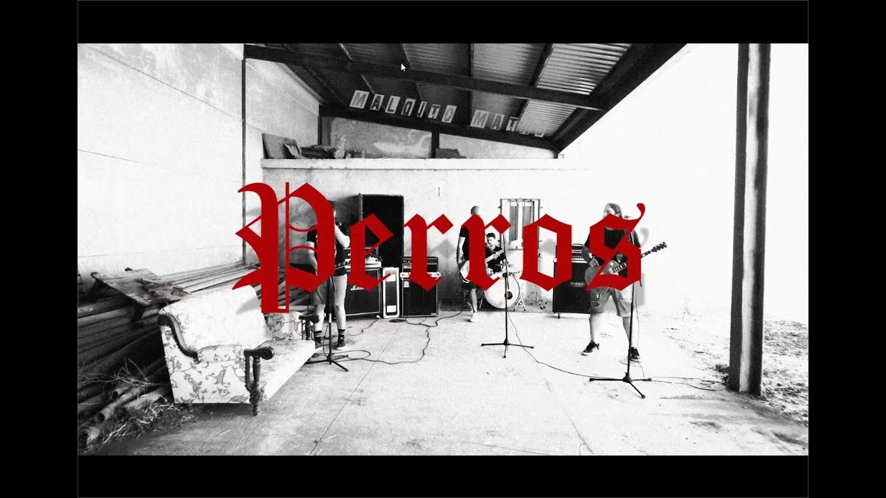 Maldito Matas - Perros (Videoclip)
