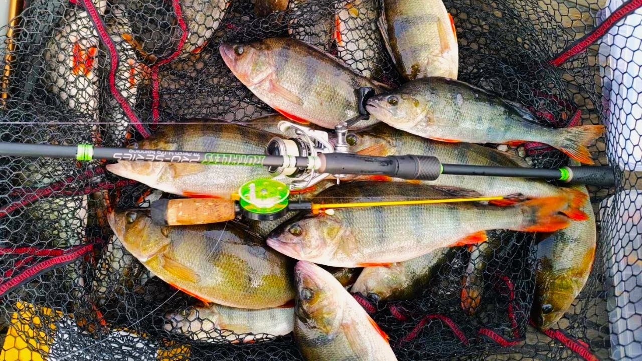 PUOLEN KILON MÖYKKYÄ HAAVI PULLOLLAAN! | AHVEN RALLIT ALKAMAISILLAAN