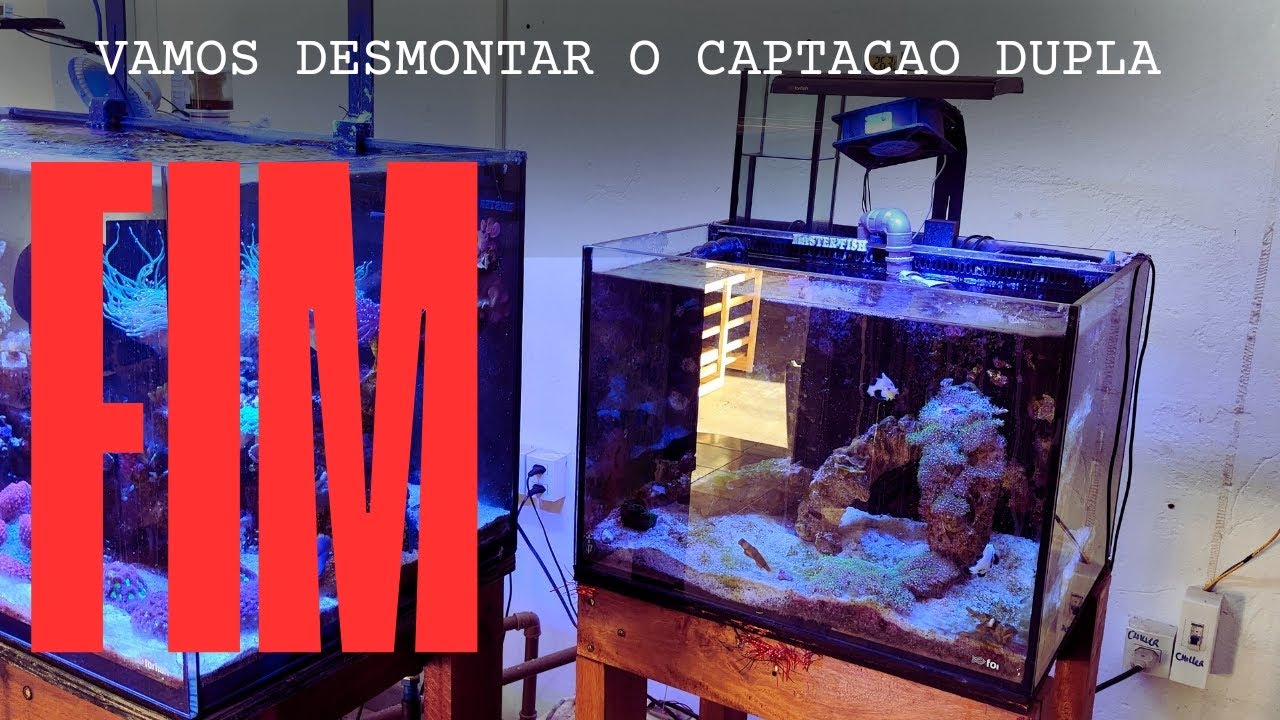 DESMONTAMOS O PRIMEIRO AQUARIO DE CAPTAÇÃO DUPLA.