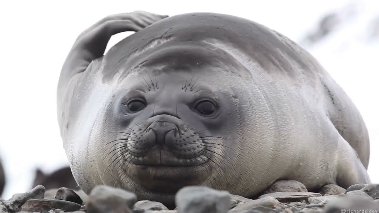 Noiseband - A Me Va Bene Lo Stesso