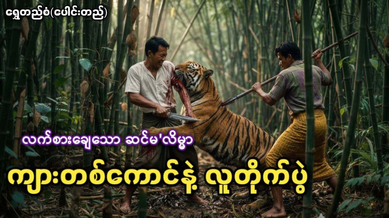 လက်စားချေသော ဆင်မ'လိမ္မာ (ကျားတစ်ကောင်နဲ့ လူတိုက်ပွဲ)