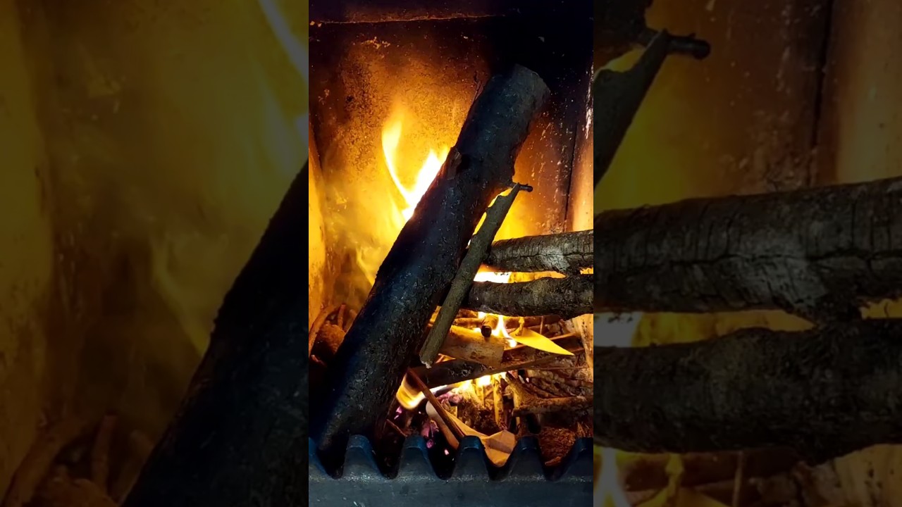 Comment allumer un feu 🔥 ?#exp&eacute;rience #aventure #survivor #savoirfaire #automne