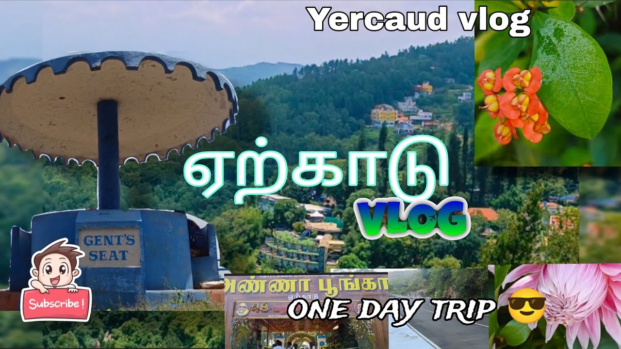 எங்களுடைய 🌿ஏற்காடு🌳பயணம்🚌🚍one day trip😎 Yercaud tourism place#vlog#yercaud#shortsviral#tamil 