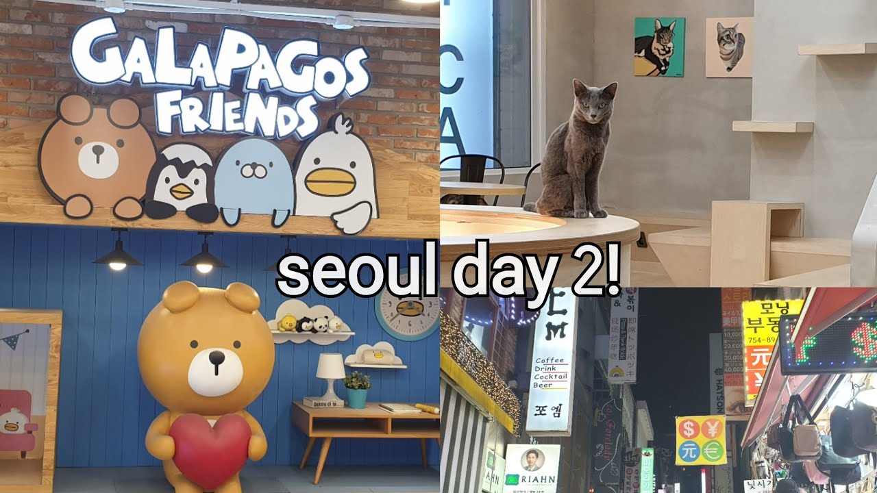 exploring myeongdong! visiting a cat cafe, shopping || korea vlog ➁