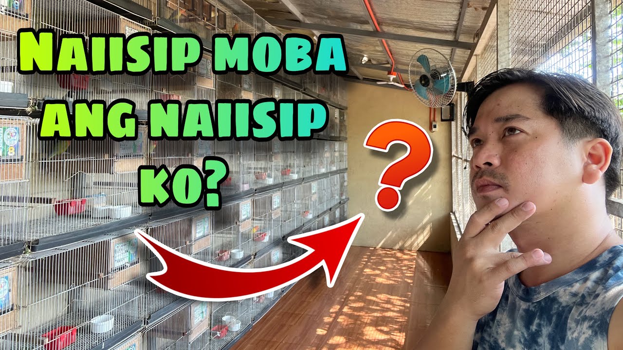 May mgandang plano tayo sa aviary..☺️
