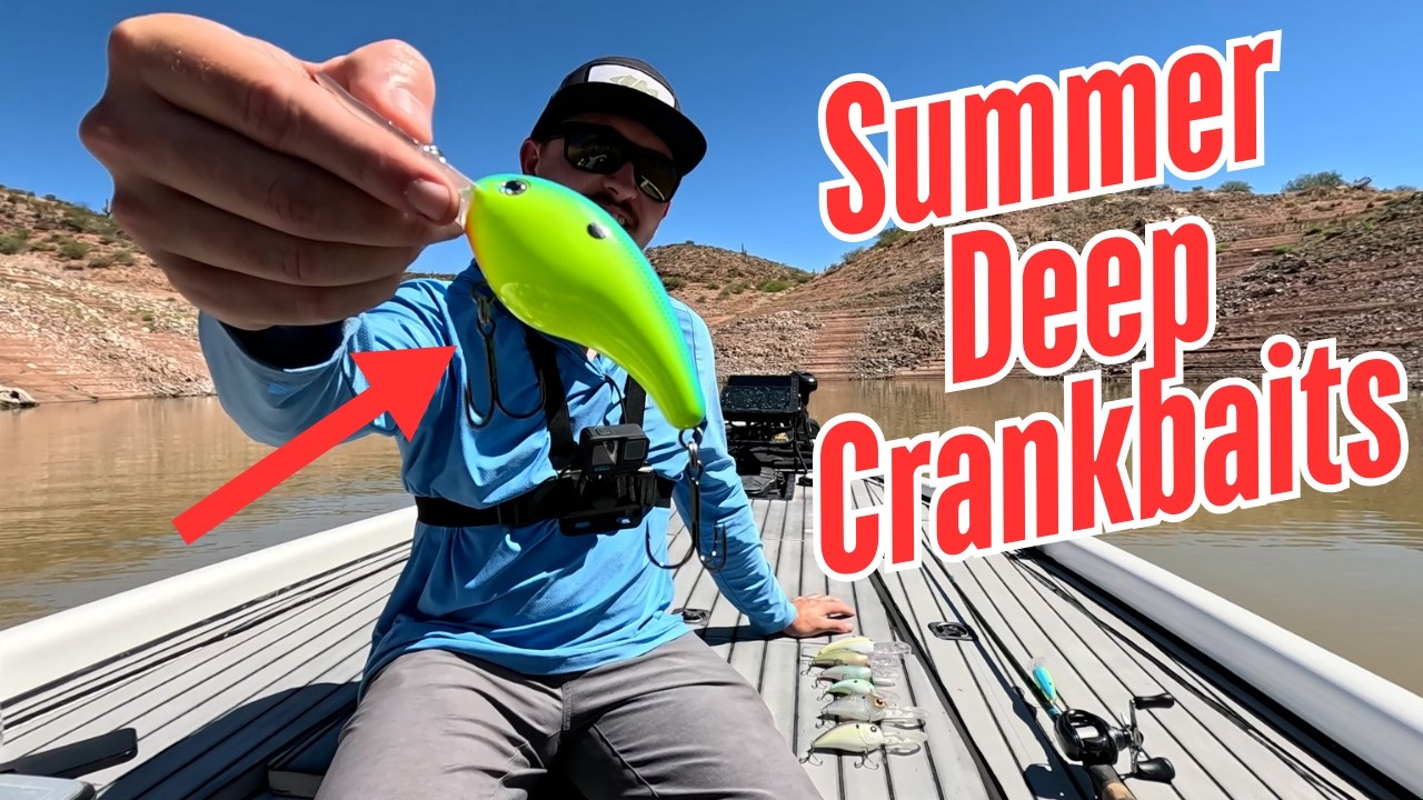 Catch bigger bass on Deep Diving Crankbaits this summer!