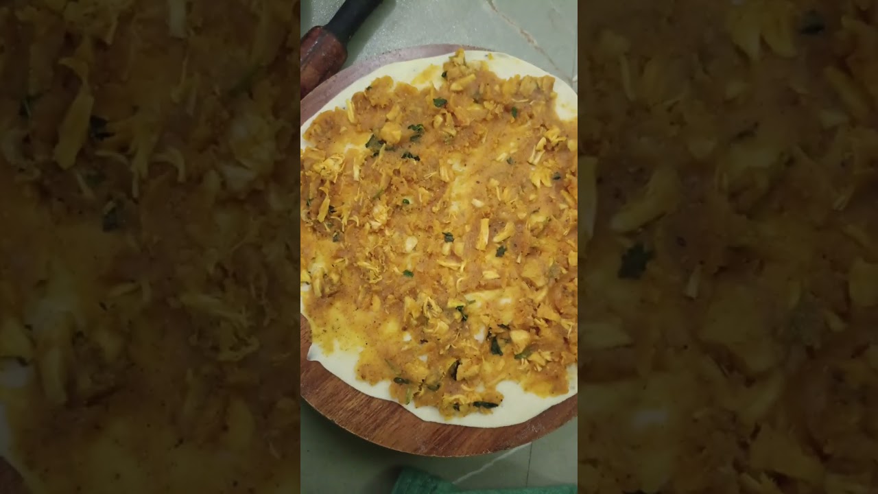 Chicken aloo spring roll samosa