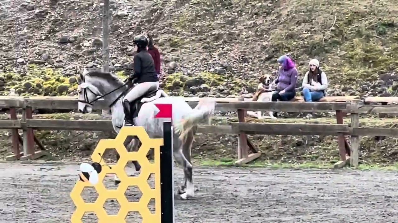 Clonshire&rsquo;s Daniel Tiger at Aspen Derby &lsquo;25