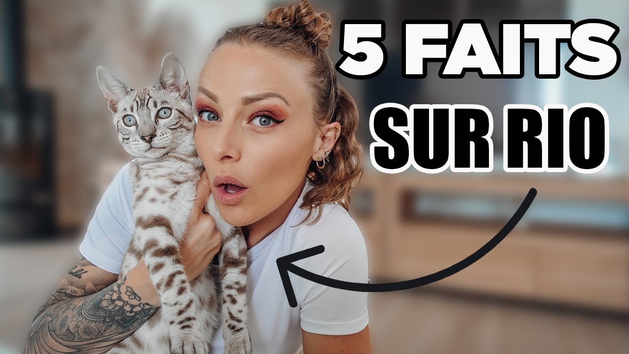 5 FAITS SUR RIO ( trop chelou ce chat !)