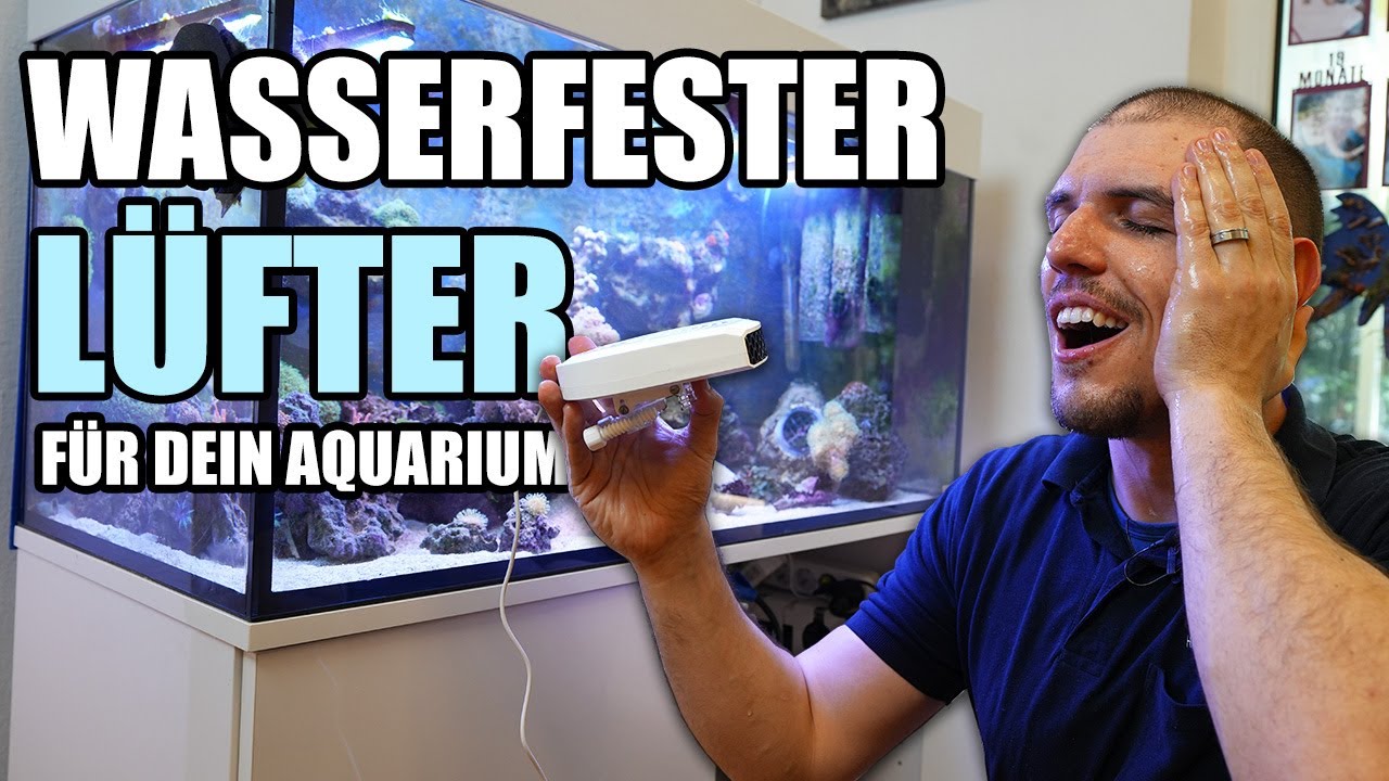 Der ideale KÜHLER für dein Aquarium!