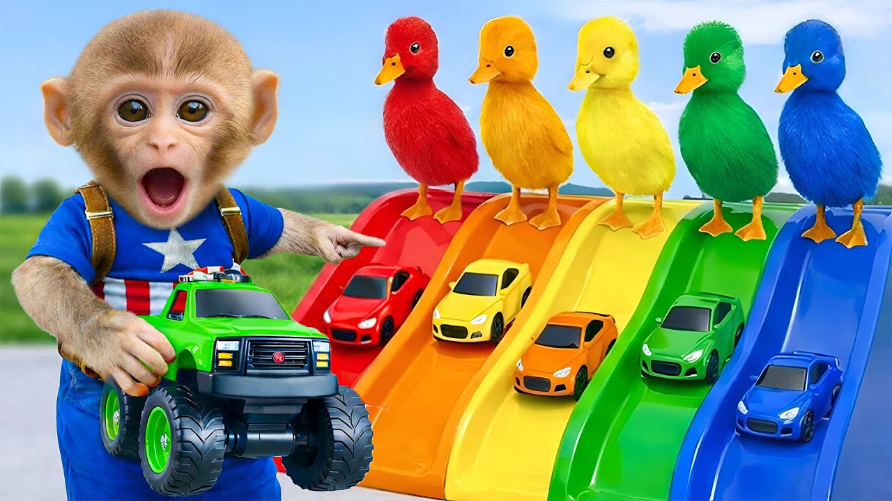 Macaco GoGo corre com carros coloridos na rampa arco íris! 🐒🚗🌈