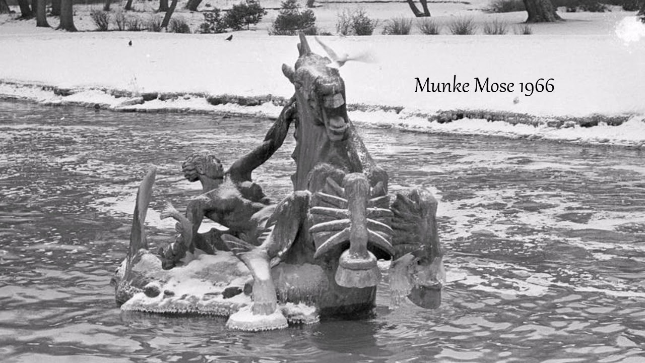 Munke Mose Odense fra1900 til 1966.