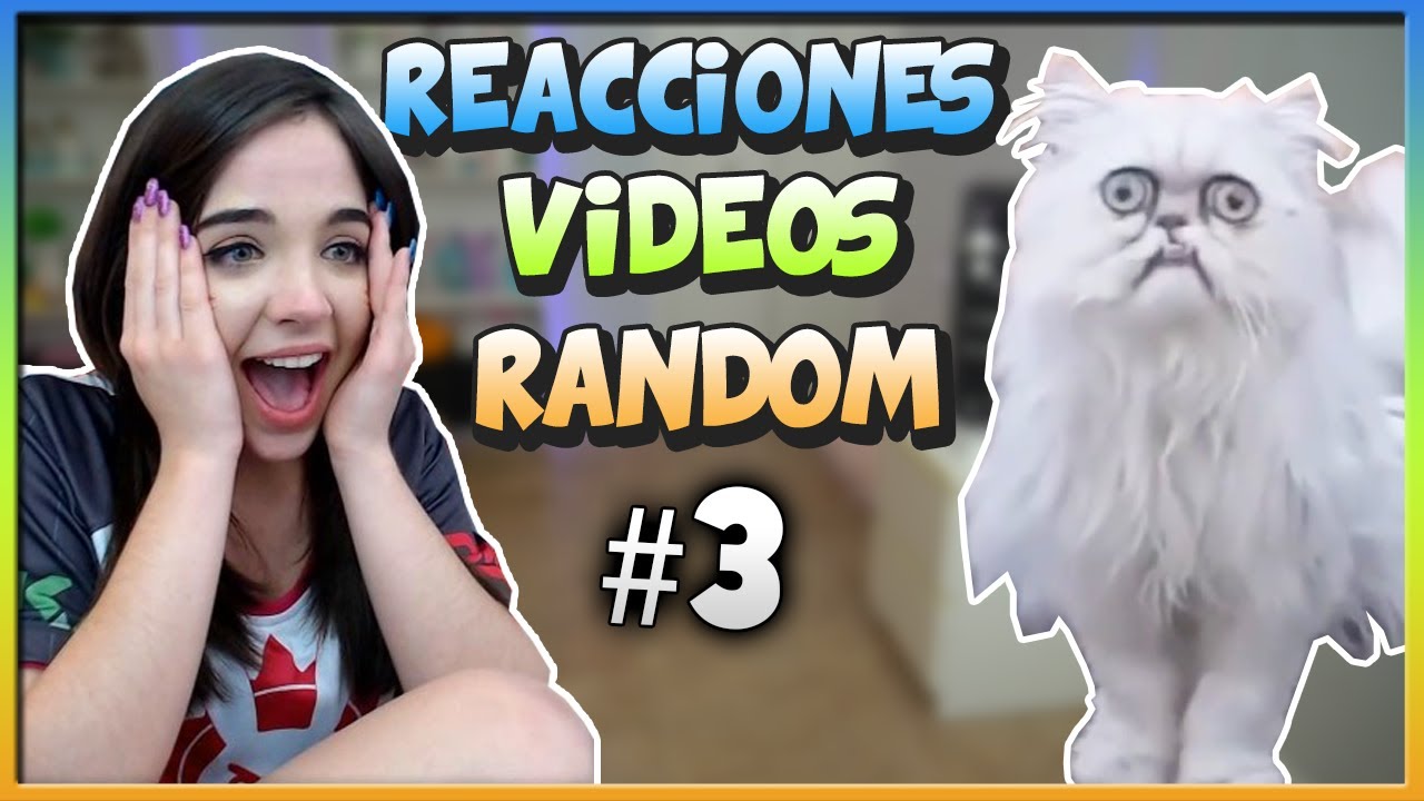 El gato más feo del mundo 😿 | Reacción a Videos Random #3