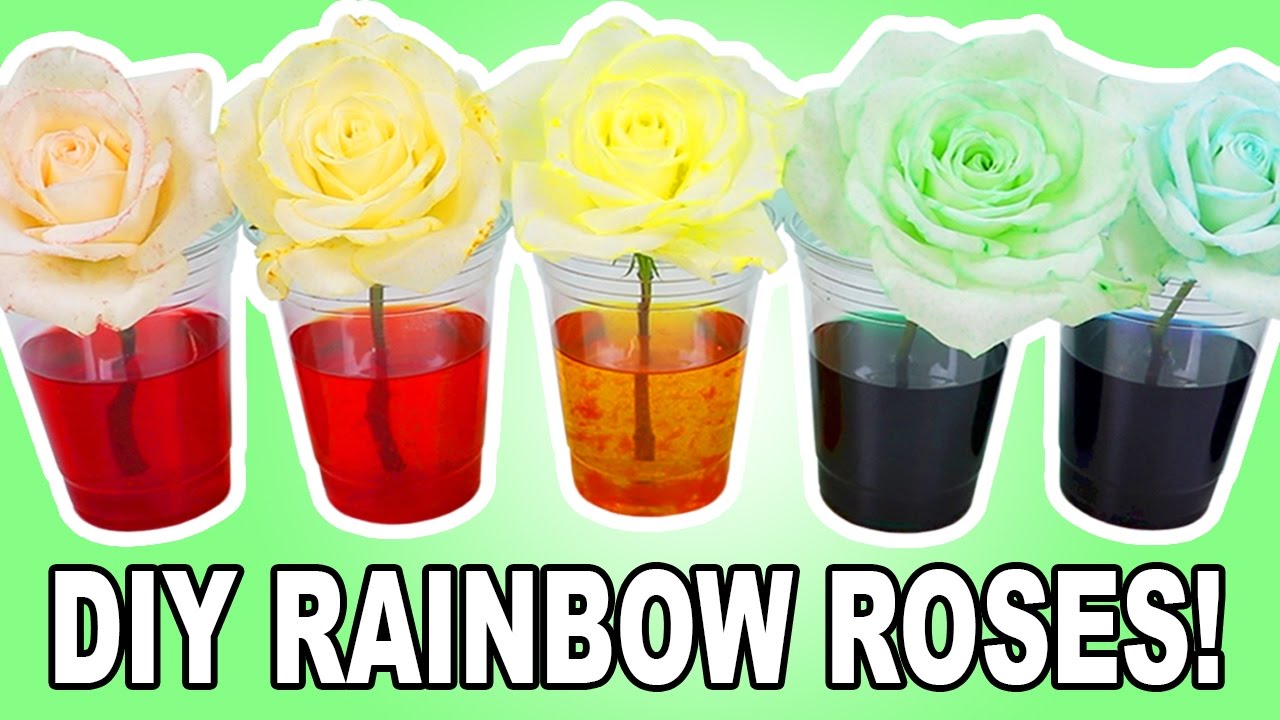 DIY RAINBOW ROSES!