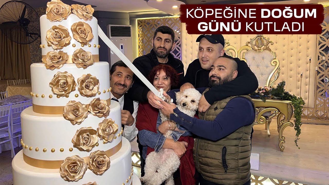 Köpeğine Doğum Günü Kutlayan Zenginler - Skeç