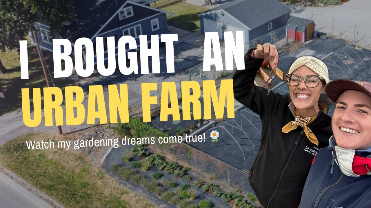 Bought an urban farm! Here’s what I got myself into…