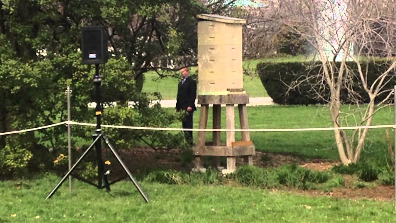 D.C. Debrief: Michelle Obama plants 2014 White House garden: Bees wanted!