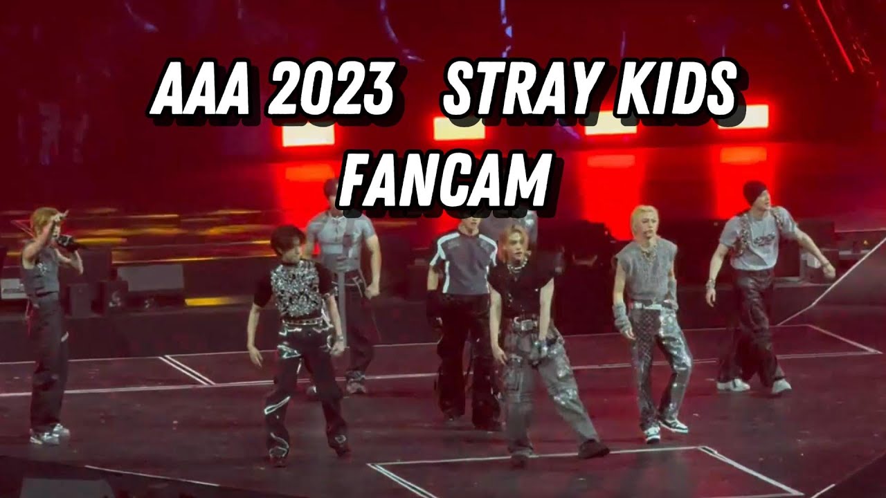 Stray Kids - Asia Artist Awards 2023 - Fancam