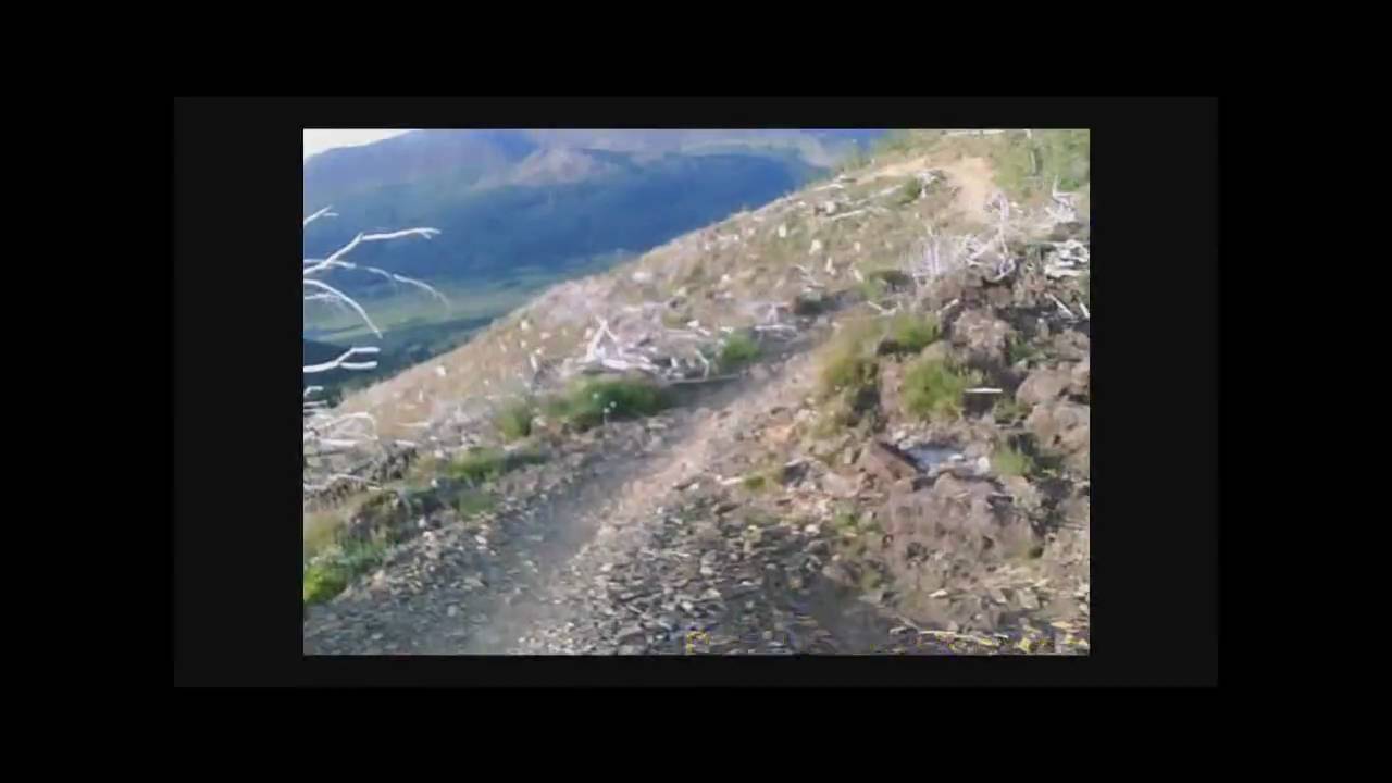 Whinlatter South Loop