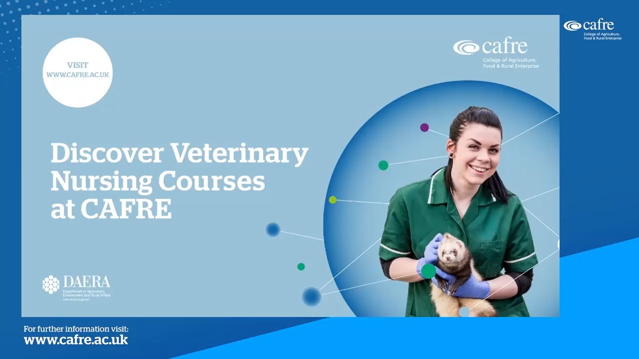 Veterinary Nursing Courses Virtual Open Evening, Autumn 2021