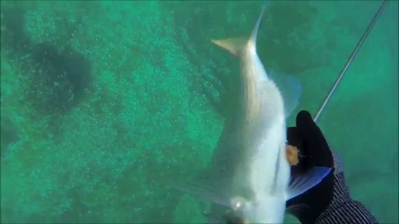 Πρωινά καρτέρια με 75αρι....... -  Αρης Τσάβαλος