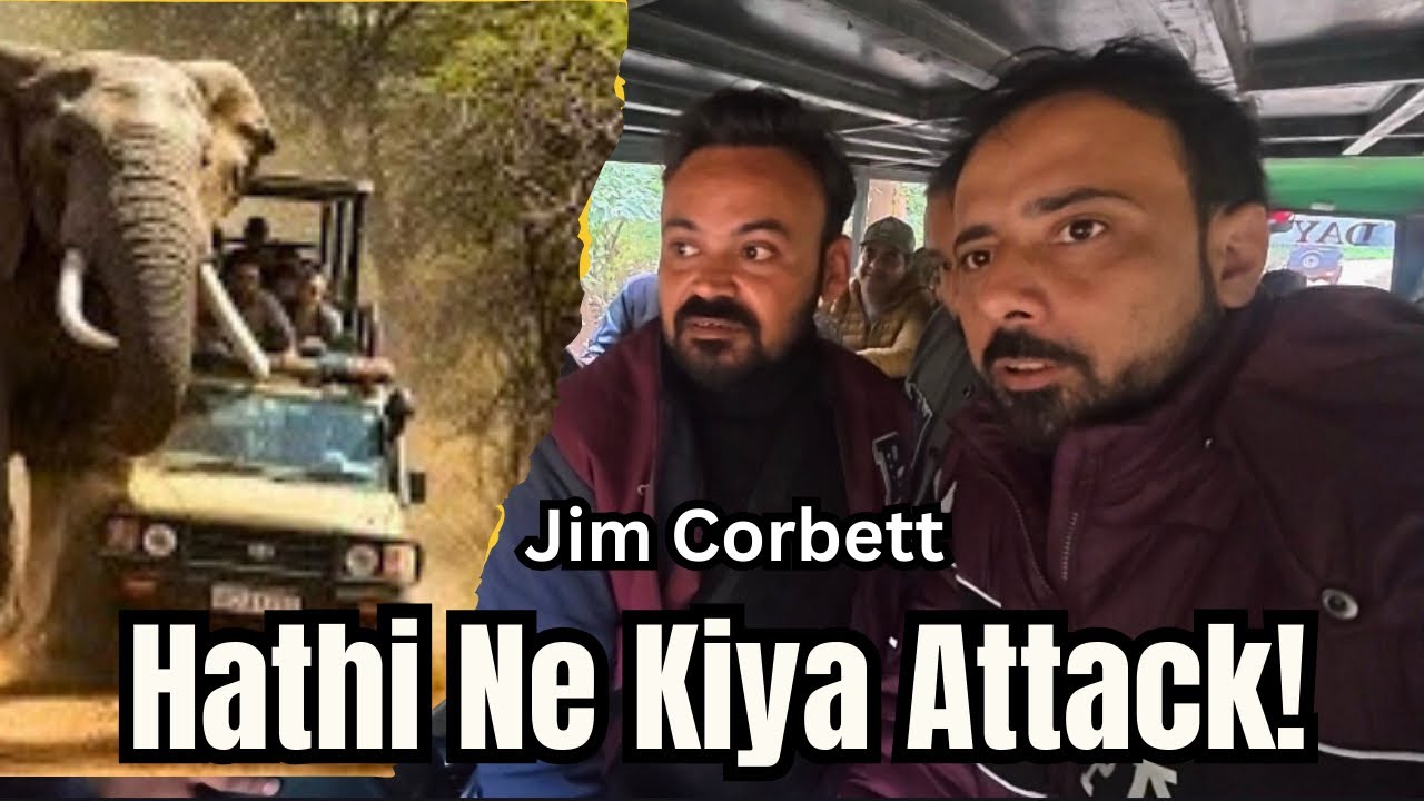 Dhikala Canter Safari Gone Wild! Elephant Attack | Heart-Pounding  | Jim Corbett Part 3