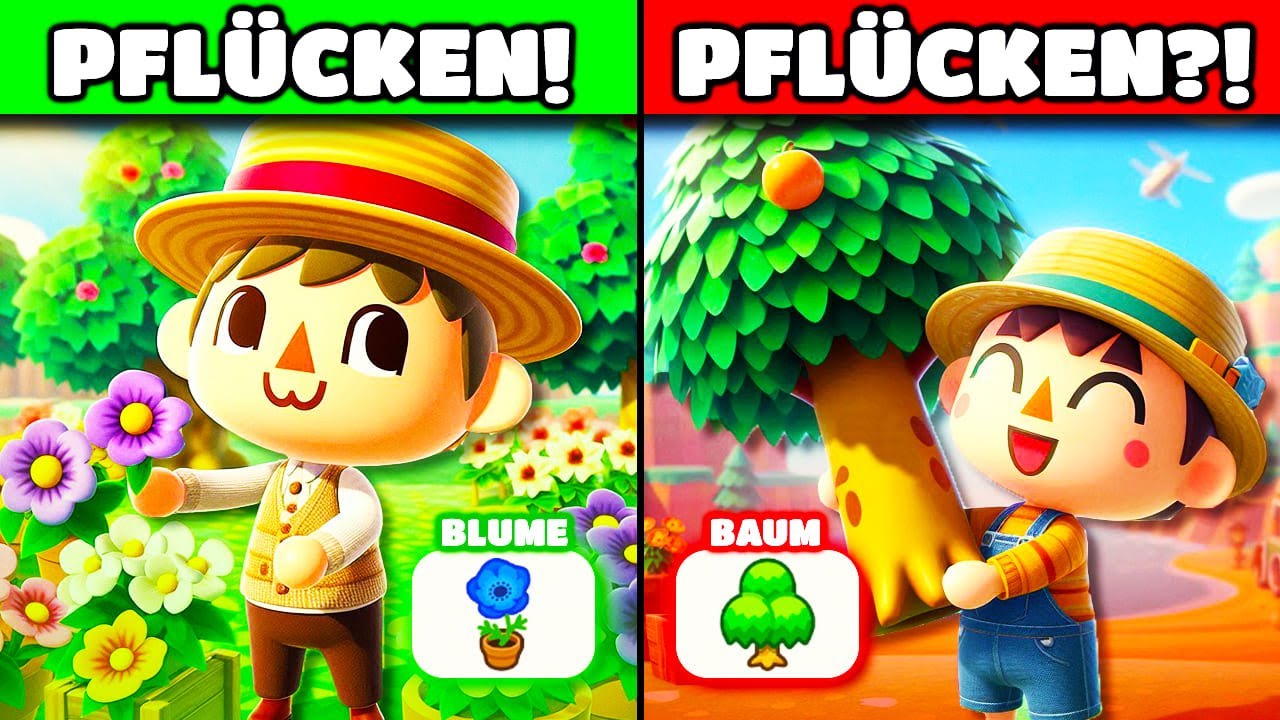 50 Dinge, die in Animal Crossing keinen Sinn machen!