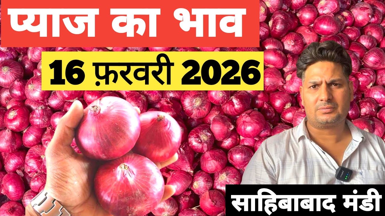 16 February 2026🧅 प्याज का भाव साहिबाबाद मंडी | today onion rates #delhimandi #onion #todayonion 
