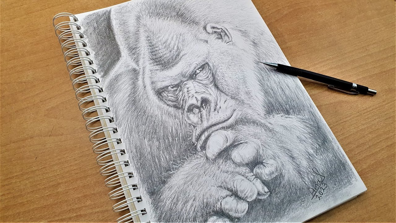 Sketching Gorilla in Black and White #drawing  #animals  #pencil