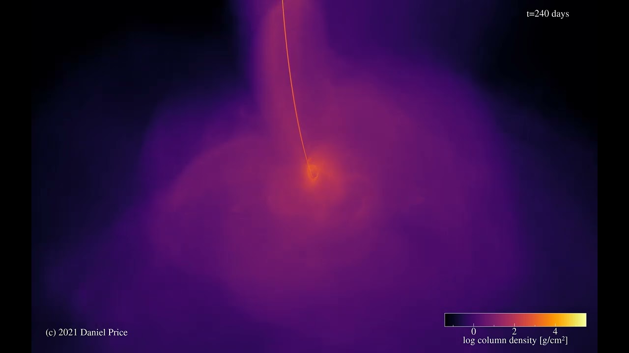 TIDAL DISRUPTION of a star by a SUPERMASSIVE black hole: Director's cut
