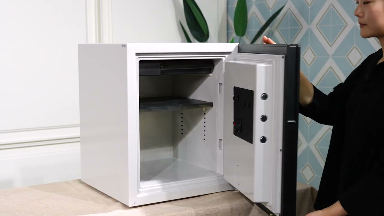NEW EFAS SAFE(EF series)