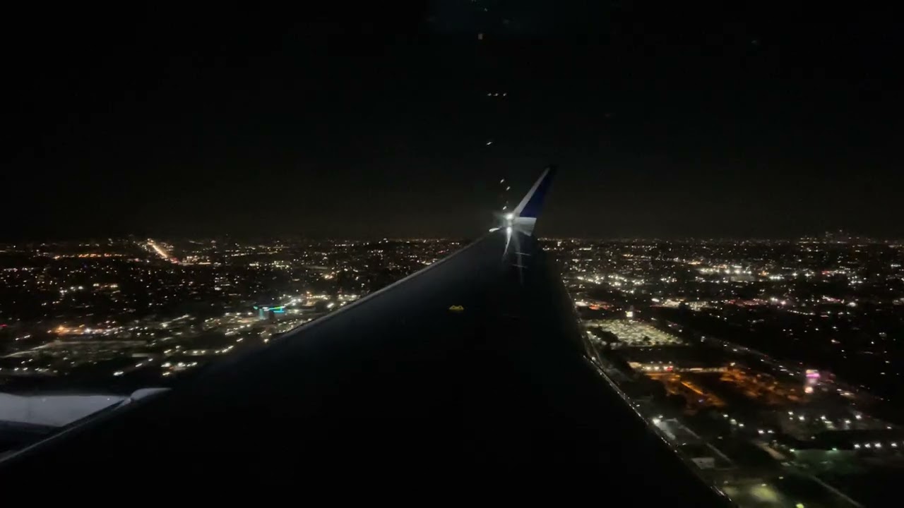 202312 Airplane Landing LA California