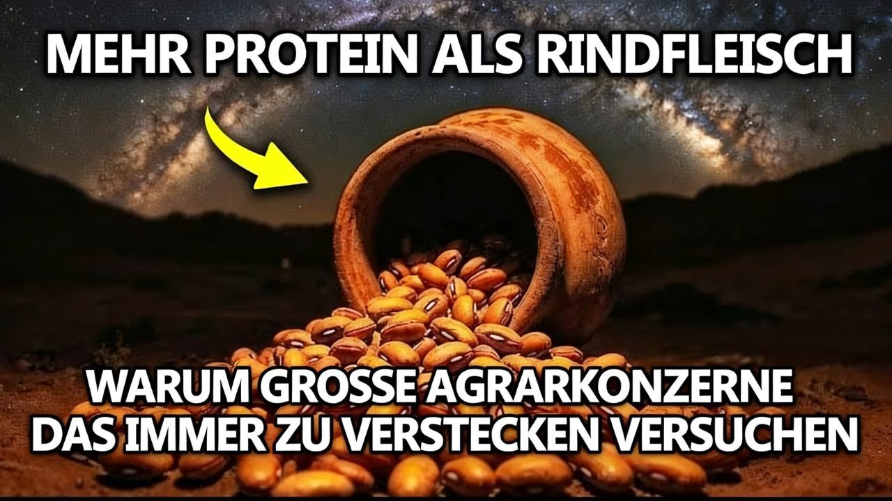 Mehr Protein als Rindfleisch, robuster als Mais: Die vergessene Überlebenssaat